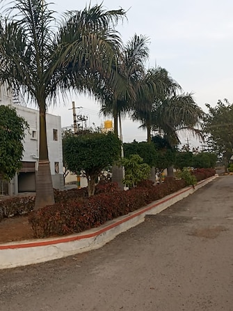 Plot For Resale in Jigani Bangalore  6516143