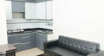 1 BHK Builder Floor For Rent in Subhash Nagar Delhi 6516368