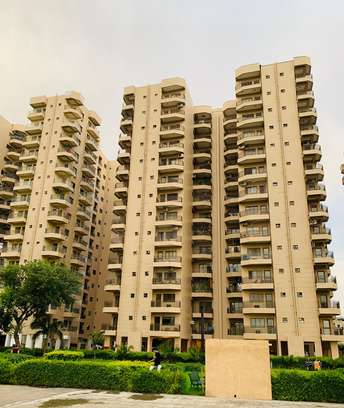 3.5 BHK Apartment For Rent in Ardee City Palm Grove Heights Sector 52 Gurgaon 6516471
