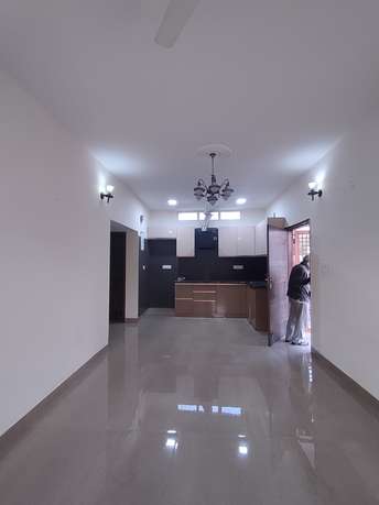 2 BHK Apartment For Rent in DDA Flats Vasant Kunj Vasant Kunj Delhi 6516995