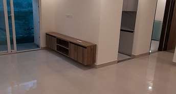 2 BHK Apartment For Resale in Gn Sector Chi V Greater Noida 6517855