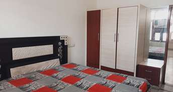 2.5 BHK Builder Floor For Rent in Green Park Hisar 6517908