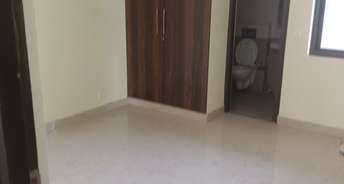 4 BHK Apartment For Rent in Sector Phi iv Greater Noida 6517976