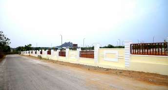  Plot For Resale in Financial District Hyderabad 6517990