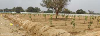  Plot For Resale in Masaipet Hyderabad 6417520
