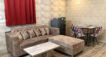 1 BHK Builder Floor For Rent in Dlf Phase ii Gurgaon 6518006