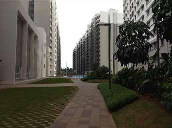 2 BHK Apartment For Rent in Sobha Dream Acres Panathur Bangalore 6518278