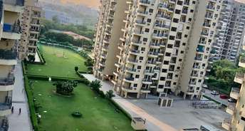 3 BHK Apartment For Rent in Ardee City Palm Grove Heights Sector 52 Gurgaon 6518492