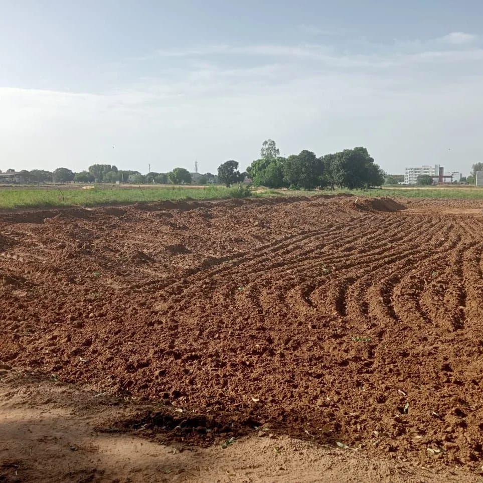 Plot For Resale in KharaR-Banur Road Mohali  6518864