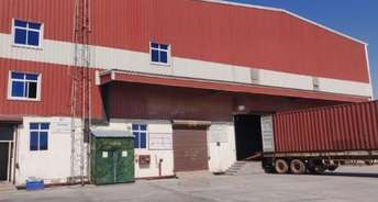 Commercial Warehouse 217000 Sq.Ft. For Rent In Pataudi Road Gurgaon 6518666