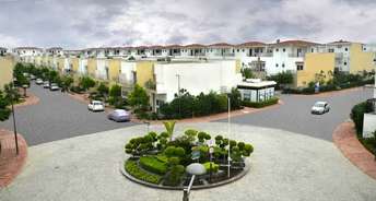 3 BHK Apartment For Resale in Paramount Golfforeste Gn Sector Zeta I Greater Noida 6518889