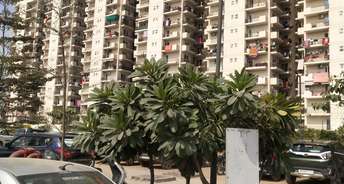 Commercial Shop 325 Sq.Ft. For Rent In Sector 95 Gurgaon 6519103