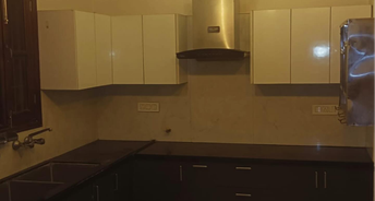 2 BHK Villa For Rent in Sunny Enclave Mohali 6519624