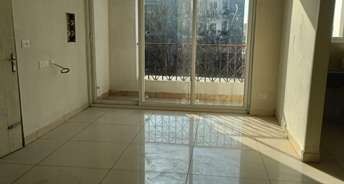 2 BHK Builder Floor For Resale in Sector 127 Mohali 6519662