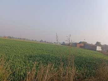  Plot For Resale in Sector 139 Faridabad 6512983