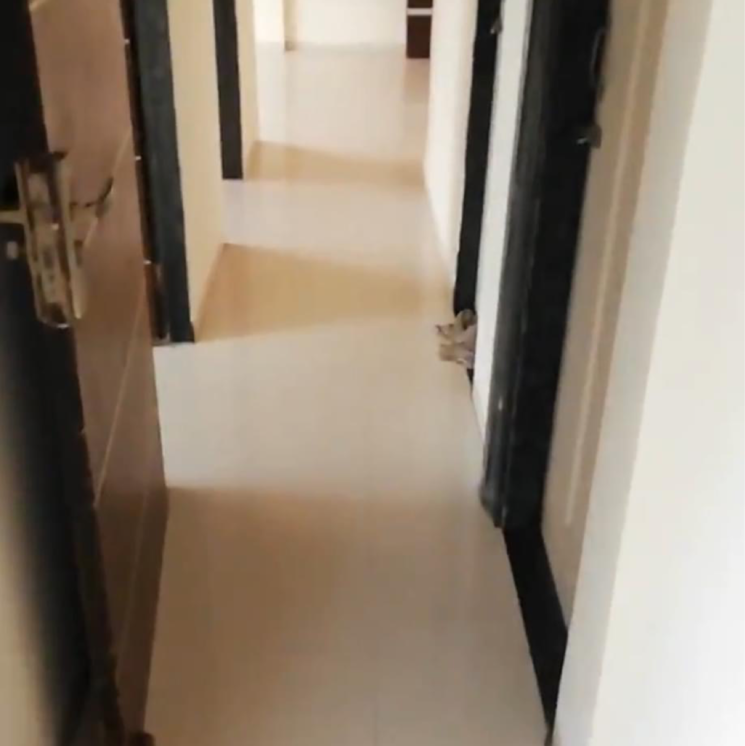 undefined, tulsi-heights 3 Bedroom 1660 Sq.Ft. Apartment In Kamothe Navi Mumbai 6519927