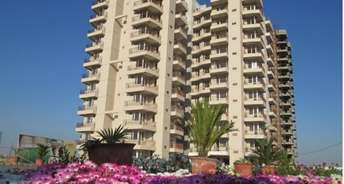 3 BHK Apartment For Resale in Sector 5 Dharuhera 6519992