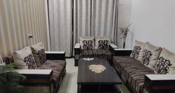 3 BHK Builder Floor For Resale in Ansal Sushant Residency Sushant Lok Iii Gurgaon 6520182