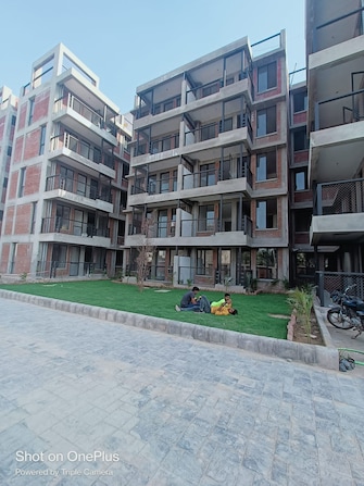 1 BHK Apartment For Resale in Arete India Our Homes 3 Sector 6 Gurgaon  6520275