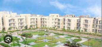 3 BHK Builder Floor For Resale in BPTP Amstoria Sector 102 Gurgaon 6520396