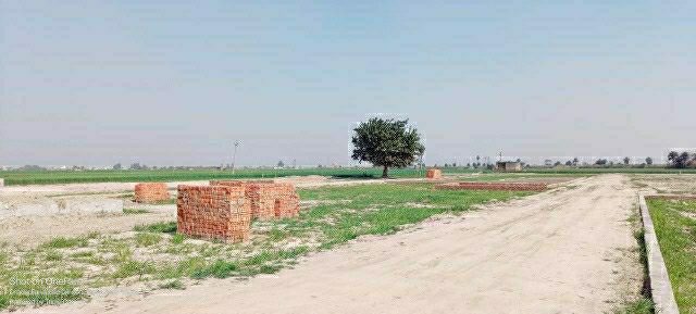 Plot For Resale in Neharpar Faridabad  6520491