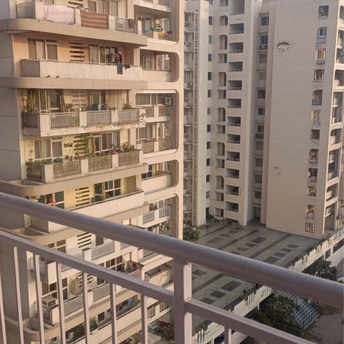 3 BHK Apartment For Rent in Ram Shanti Apartment Sector 52 Gurgaon 6520792
