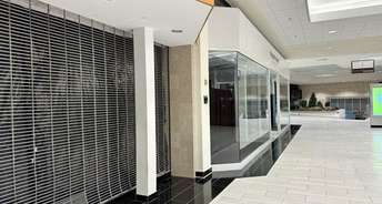 Commercial Shop 400 Sq.Ft. For Rent In Rohini Sector 8 Delhi 6520813