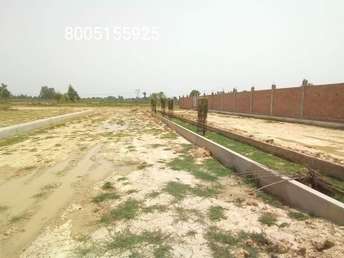  Plot For Resale in Felicity Faizabad Road Lucknow 6520962