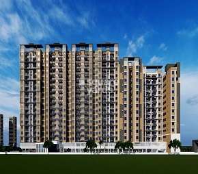 1 BHK Apartment For Resale in Pantheon Acorn Park Phase 1 Wakad Pune  6521074