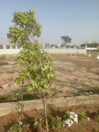 Plot For Resale in Diggi Road Jaipur  6521481