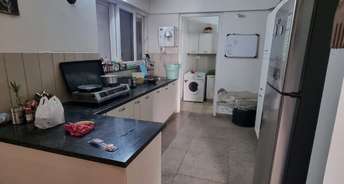 3 BHK Apartment For Rent in Sector 80 Mohali 6521506