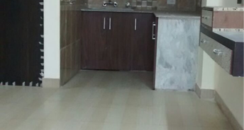 1 RK Apartment For Rent in Old DLF Colony Sector 14 Gurgaon 6521533