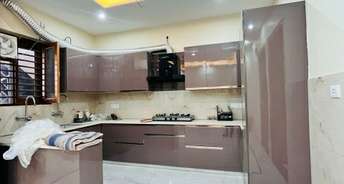 2.5 BHK Builder Floor For Rent in Ballabhgarh Sector 2 Faridabad 6521611