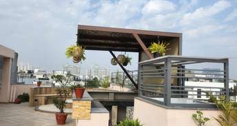 4 BHK Builder Floor For Rent in Sushant Lok I Gurgaon 6521226
