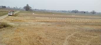 Plot For Resale in Gomti Nagar Lucknow  6521684