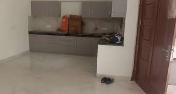 2 BHK Builder Floor For Rent in Phase 11 Mohali 6521722