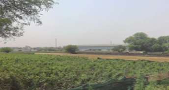 Commercial Land 37200 Sq.Ft. For Rent In Dhoom Manikpur Greater Noida 6515433