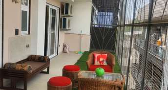 4 BHK Builder Floor For Rent in Sushant Lok I Gurgaon 6521796