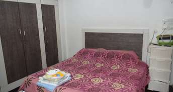 1 BHK Apartment For Rent in Hanuman Sharan CHS Cumbala Hill Mumbai 6521878