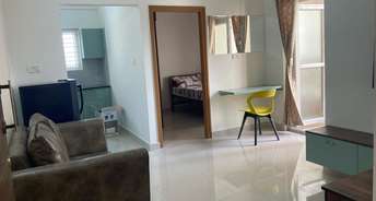 1 BHK Apartment For Rent in Nallurhalli Bangalore 6522091