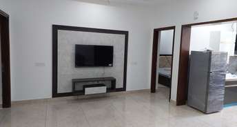 3 BHK Builder Floor For Rent in Sector 69 Mohali 6522218