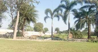  Plot For Resale in Sikri Faridabad 6522403