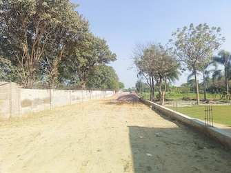 Plot For Resale in Sikri Faridabad  6522403