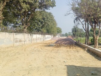 Plot For Resale in Sikri Faridabad  6522403