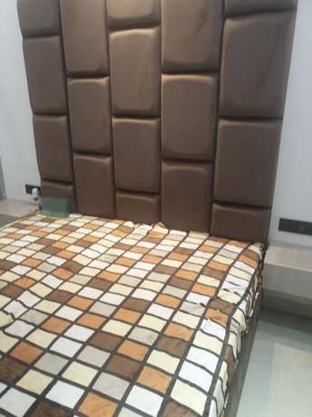 2 BHK Builder Floor For Rent in Model Town Ludhiana 6522718
