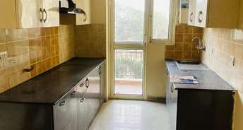 2 BHK Apartment For Rent in Sector 22 Noida 6522847