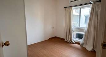 2 BHK Apartment For Rent in Unitech Horizons Rajarhat Kolkata 6523213