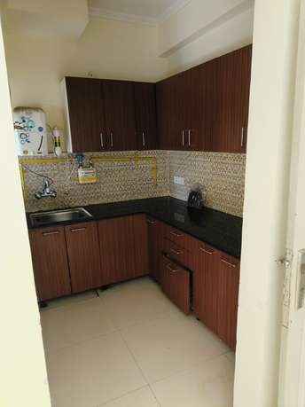 1 BHK Apartment For Rent in Maxblis Grand Wellington Sector 75 Noida 6523541