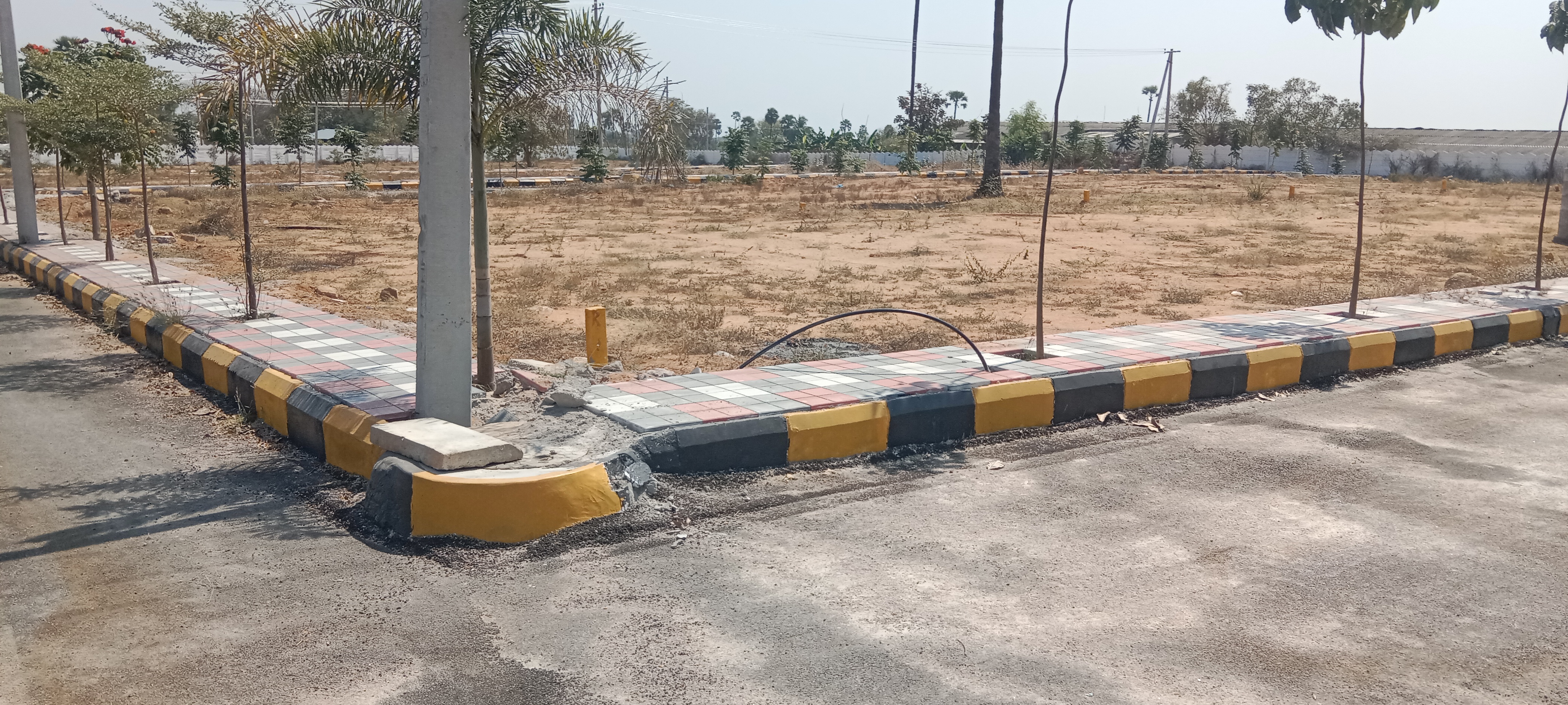  Plot For Resale in A S Rao Nagar Hyderabad 6523725