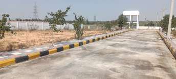  Plot For Resale in Suchitra Road Hyderabad 6523783